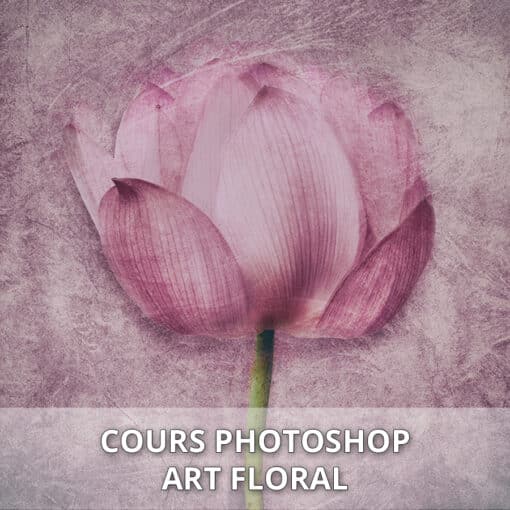 Cours Photoshop art floral
