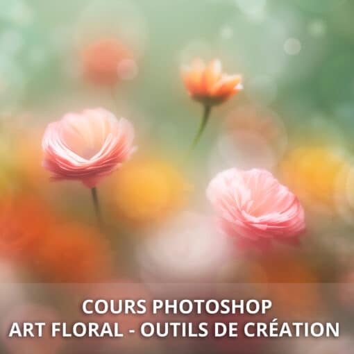 Cours Photoshop art floral - outils de création