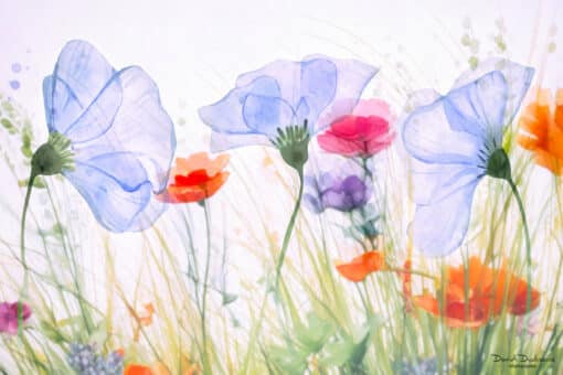 Cours Photoshop art floral créatif partie 2 – Image 4