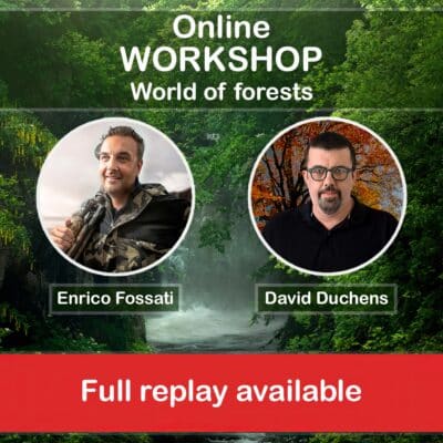 Online workshop - The world of forests (REPLAY)
