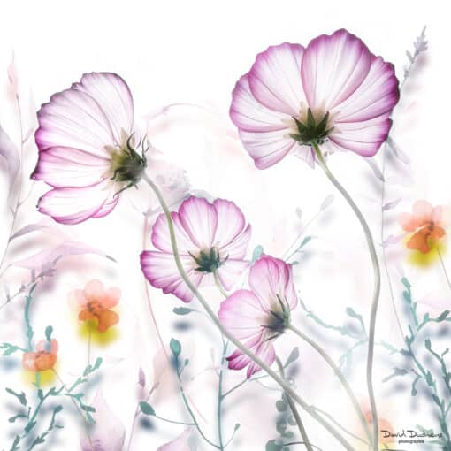 Cours Photoshop art floral créatif partie 2 – Image 6