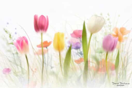 Cours Photoshop art floral créatif partie 2 – Image 5