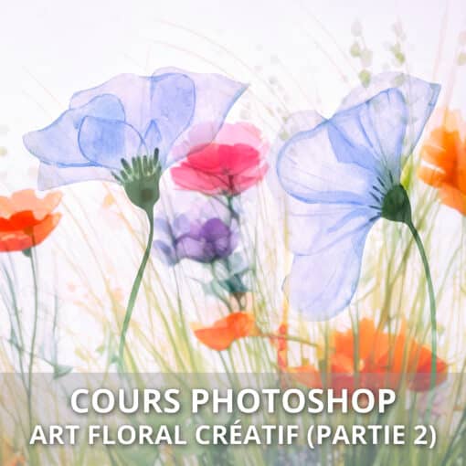 Cours Photoshop art floral créatif partie 2