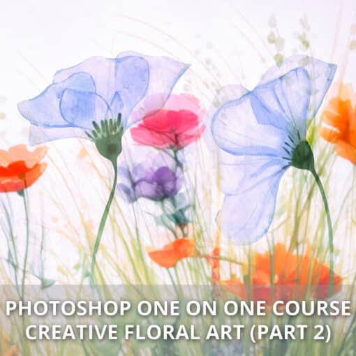 Cours Photoshop art floral créatif partie 2 – Image 2
