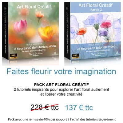 Pack Art Floral Créatif