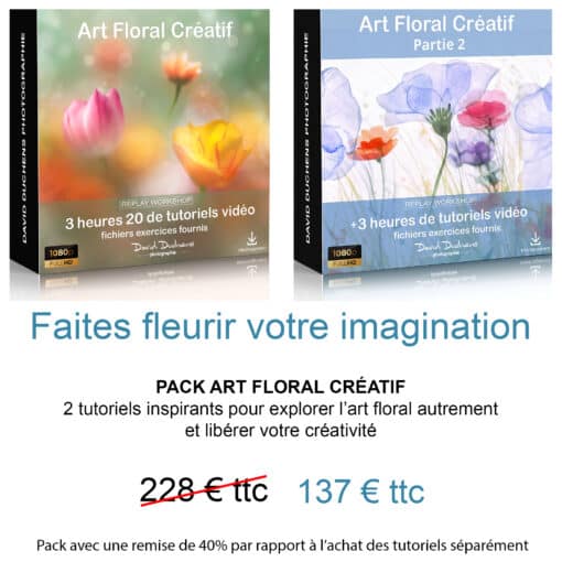Pack Art Floral Créatif