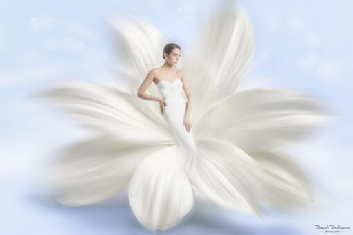 Cours Photoshop fantaisie florale – Image 7