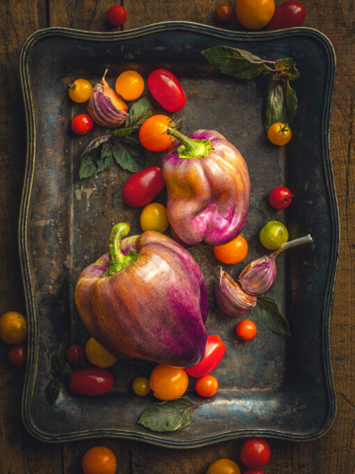 Online Workshop - The Art of Still Life with Alan Shapiro – Image 4