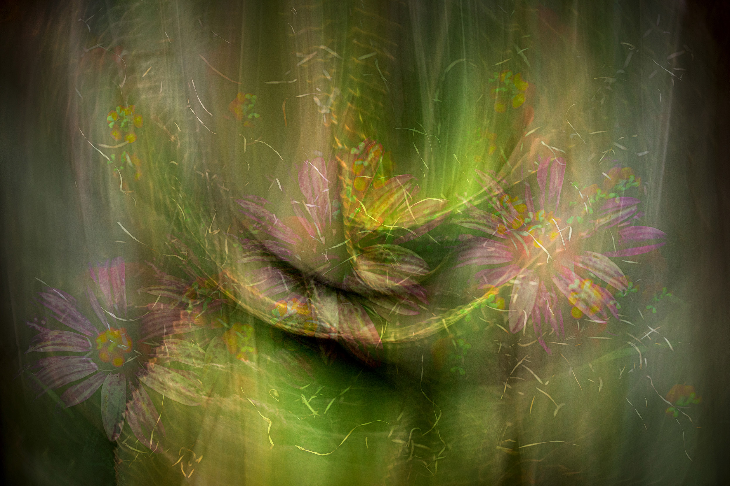 Artistic Expression & ICM with Florals – Image 3