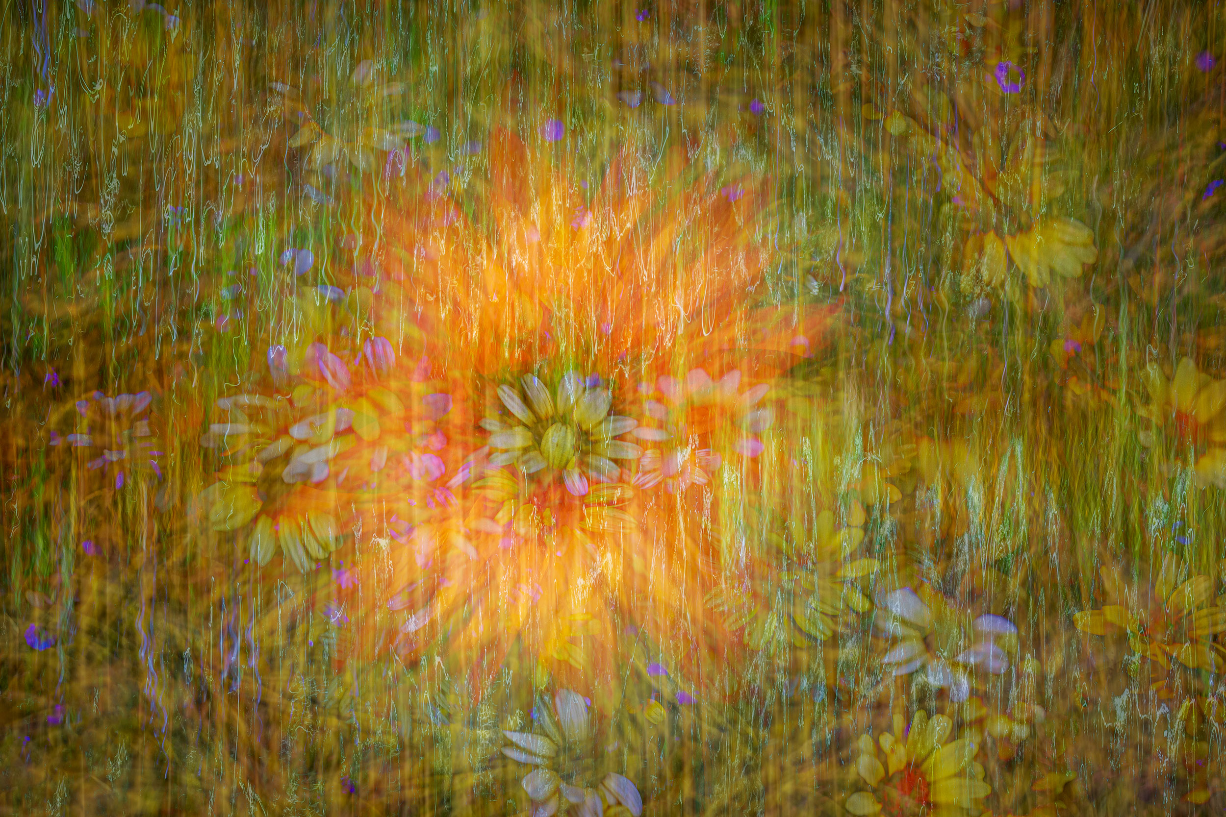 Artistic Expression & ICM with Florals – Image 4