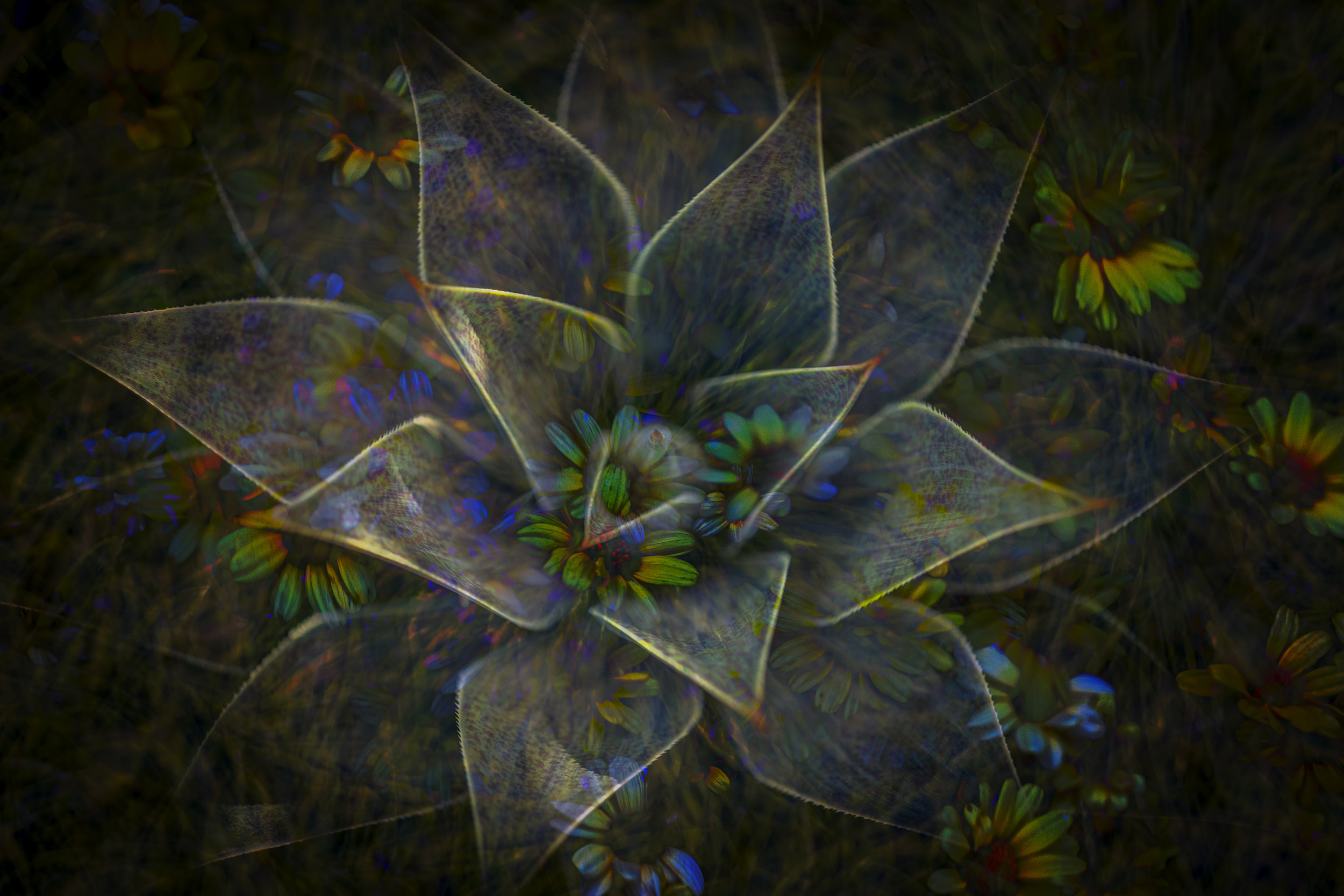 Artistic Expression & ICM with Florals – Image 5