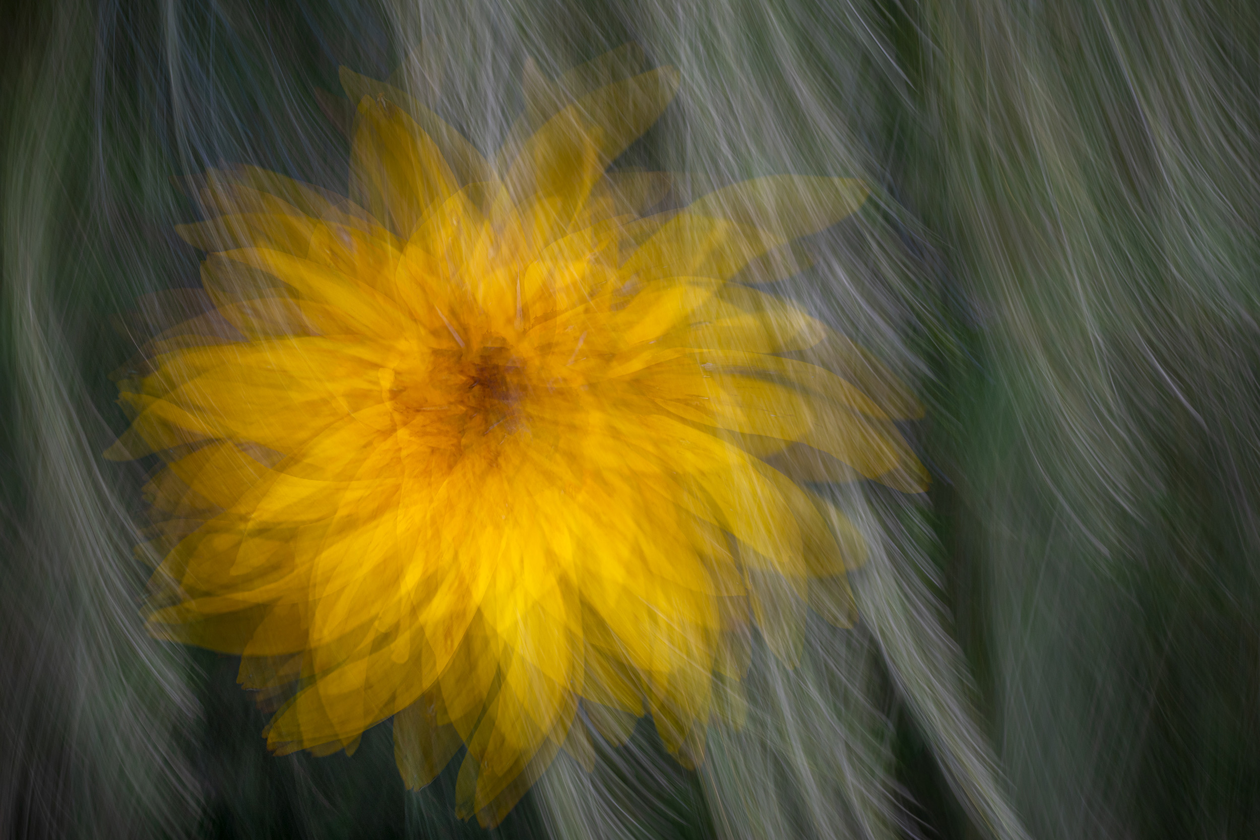 Artistic Expression & ICM with Florals – Image 6