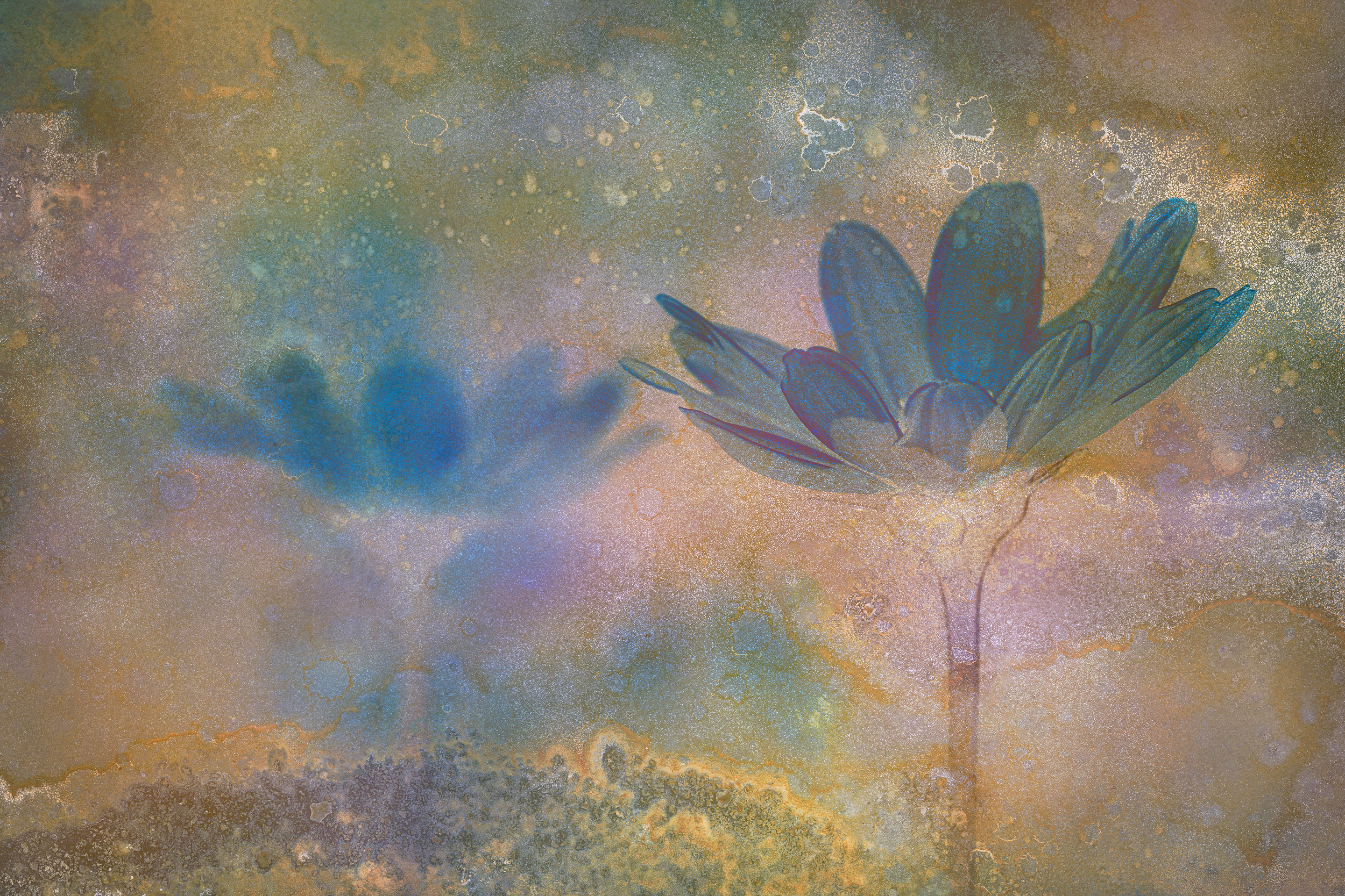 Artistic Expression & ICM with Florals – Image 10
