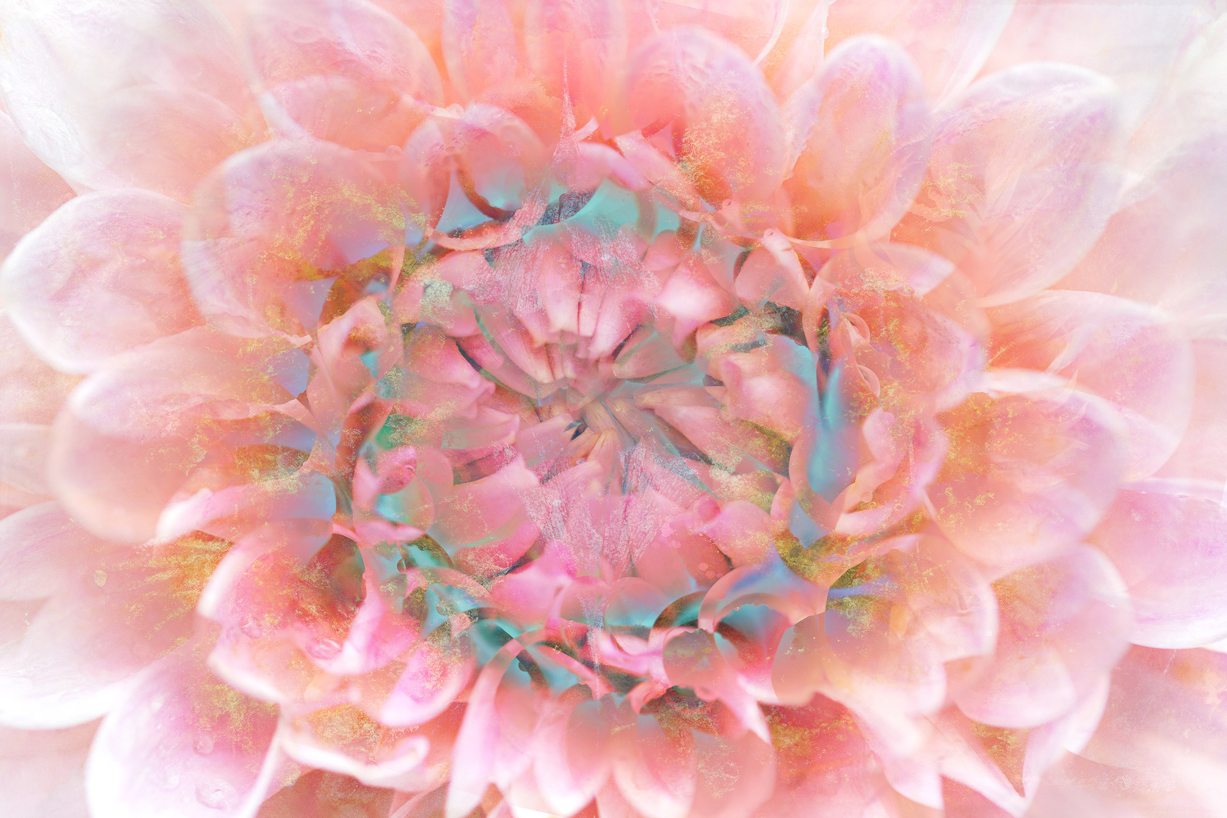Artistic Expression & ICM with Florals – Image 11