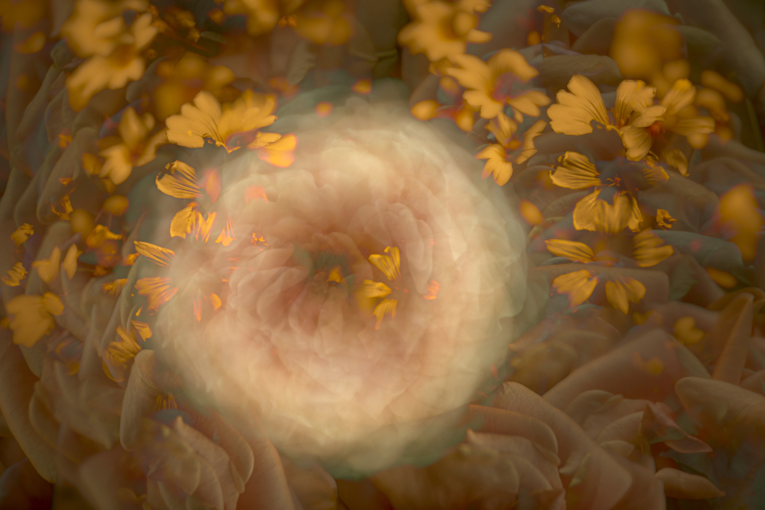 Artistic Expression & ICM with Florals – Image 12