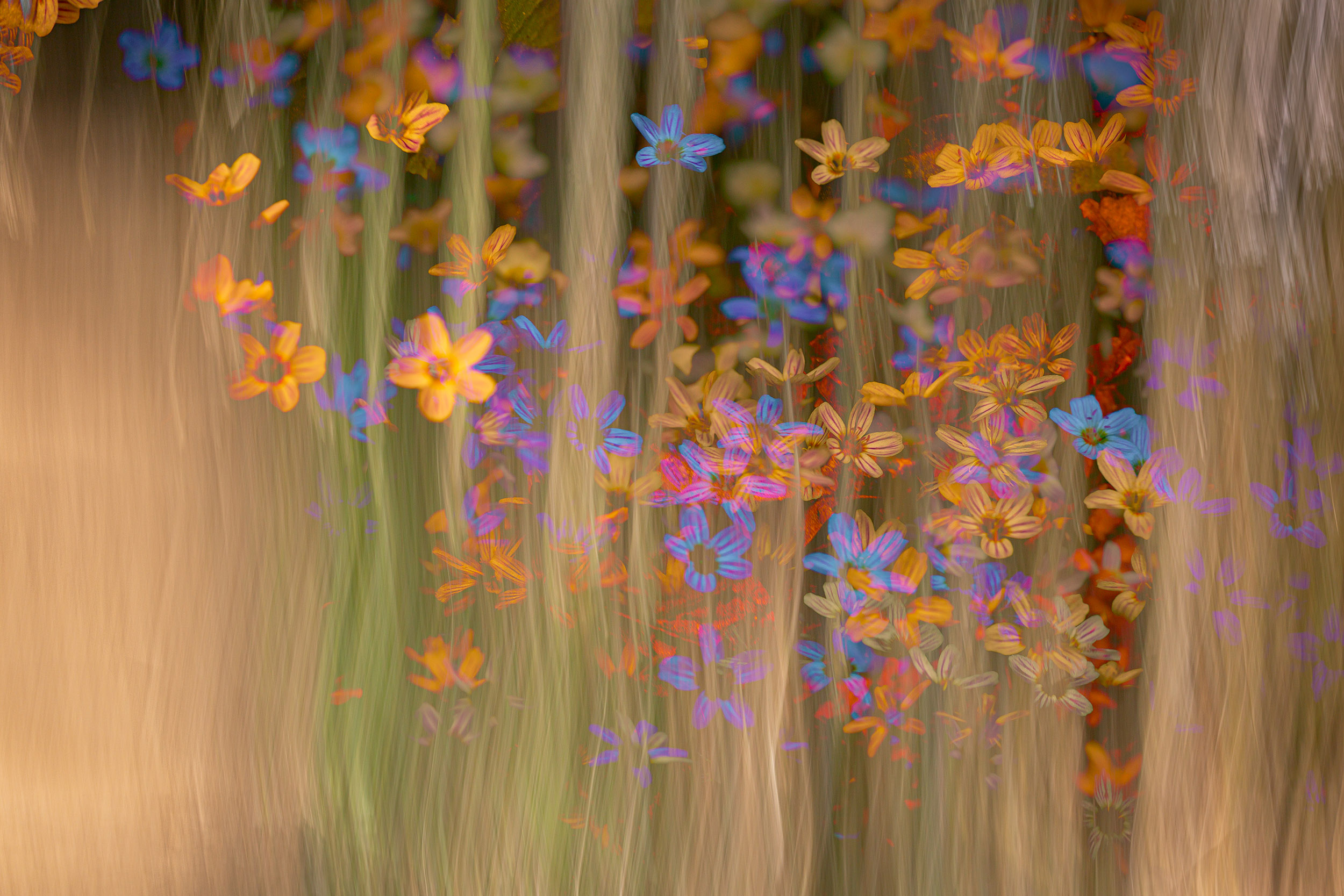 Artistic Expression & ICM with Florals – Image 13