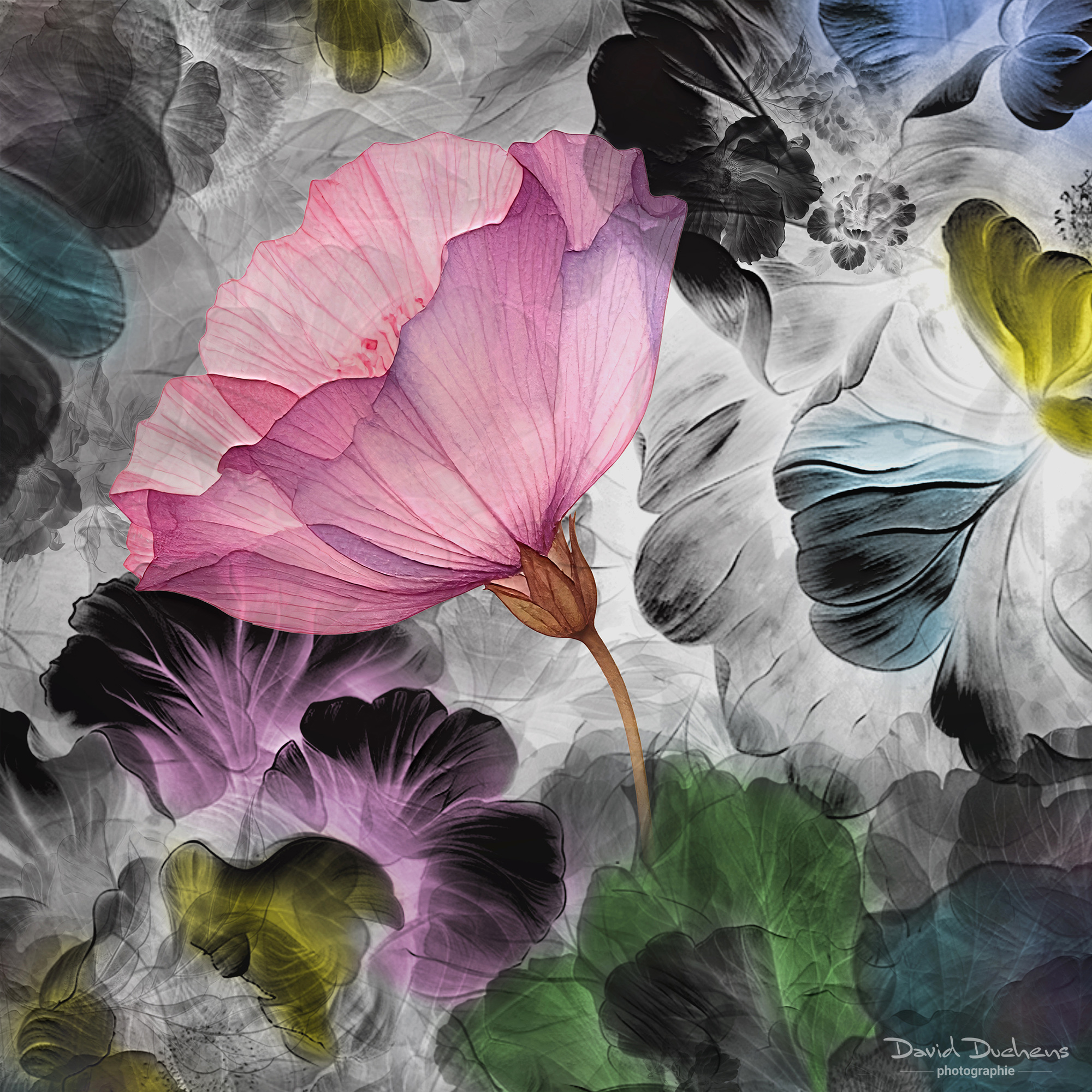 Artistic Expression & ICM with Florals – Image 14