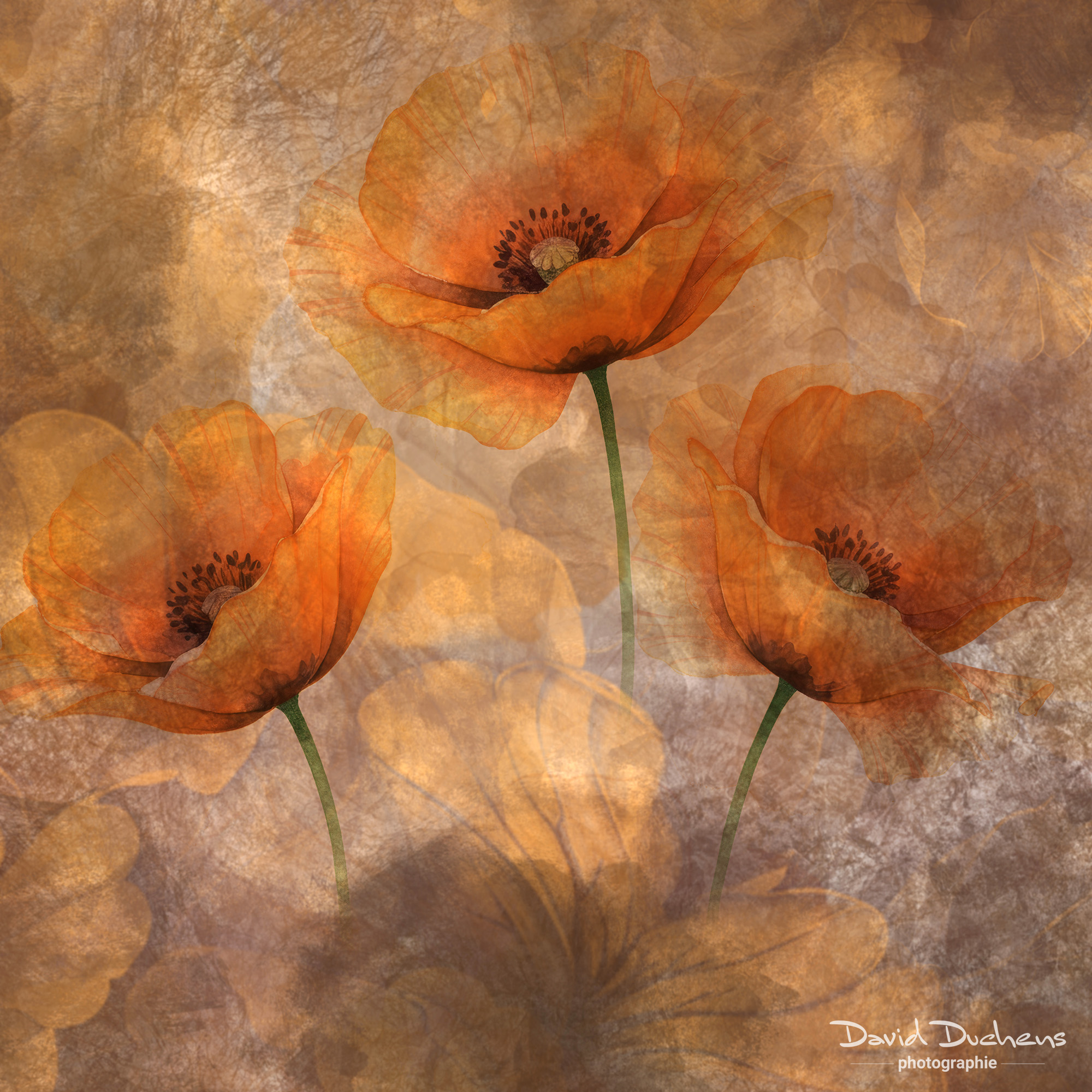 Artistic Expression & ICM with Florals – Image 16